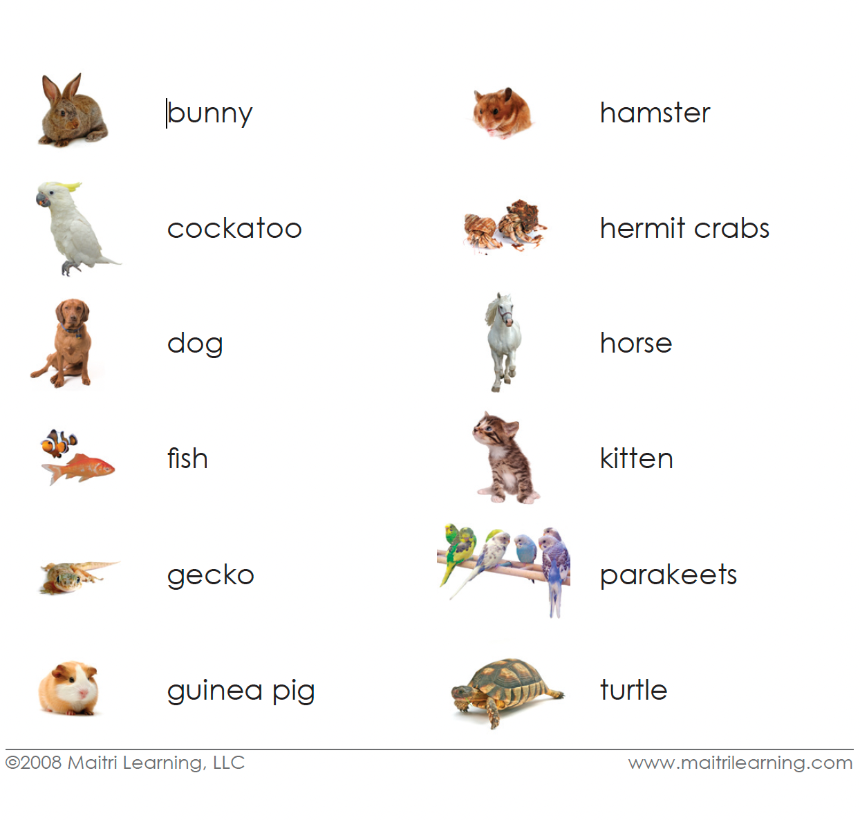 German Pets 3-Part Reading