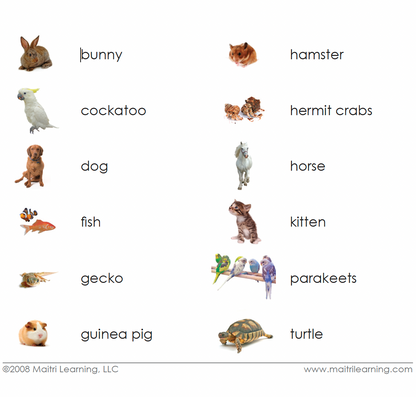 German Pets 3-Part Reading