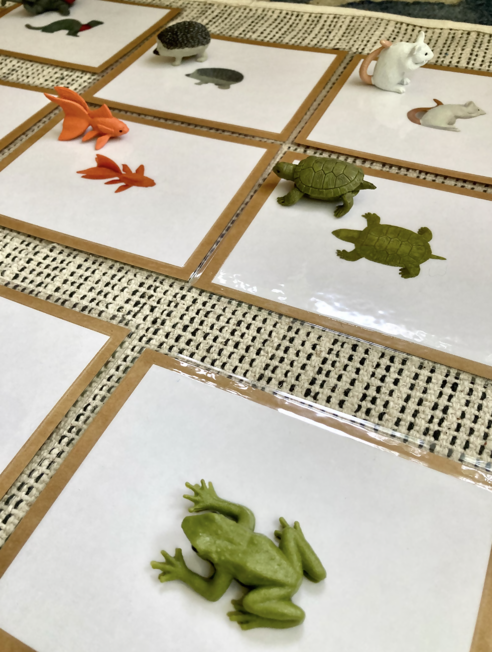 Exact Matching Language Objects and Digital PDF Cards - Pets - Montessori Toddler Activity for Vocabulary development