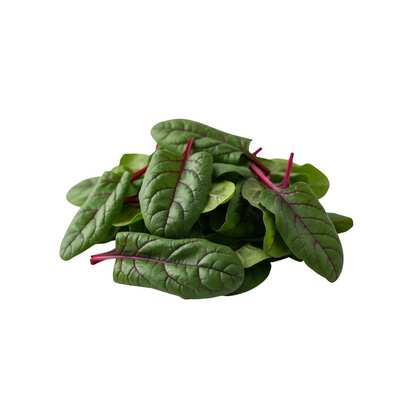 Veggie Bundle (12 seedlings)