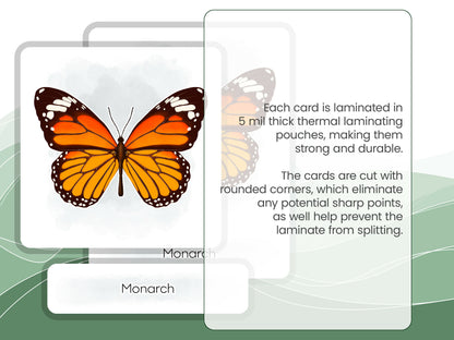 Nomenclature Cards Set - Illustrated Butterflies