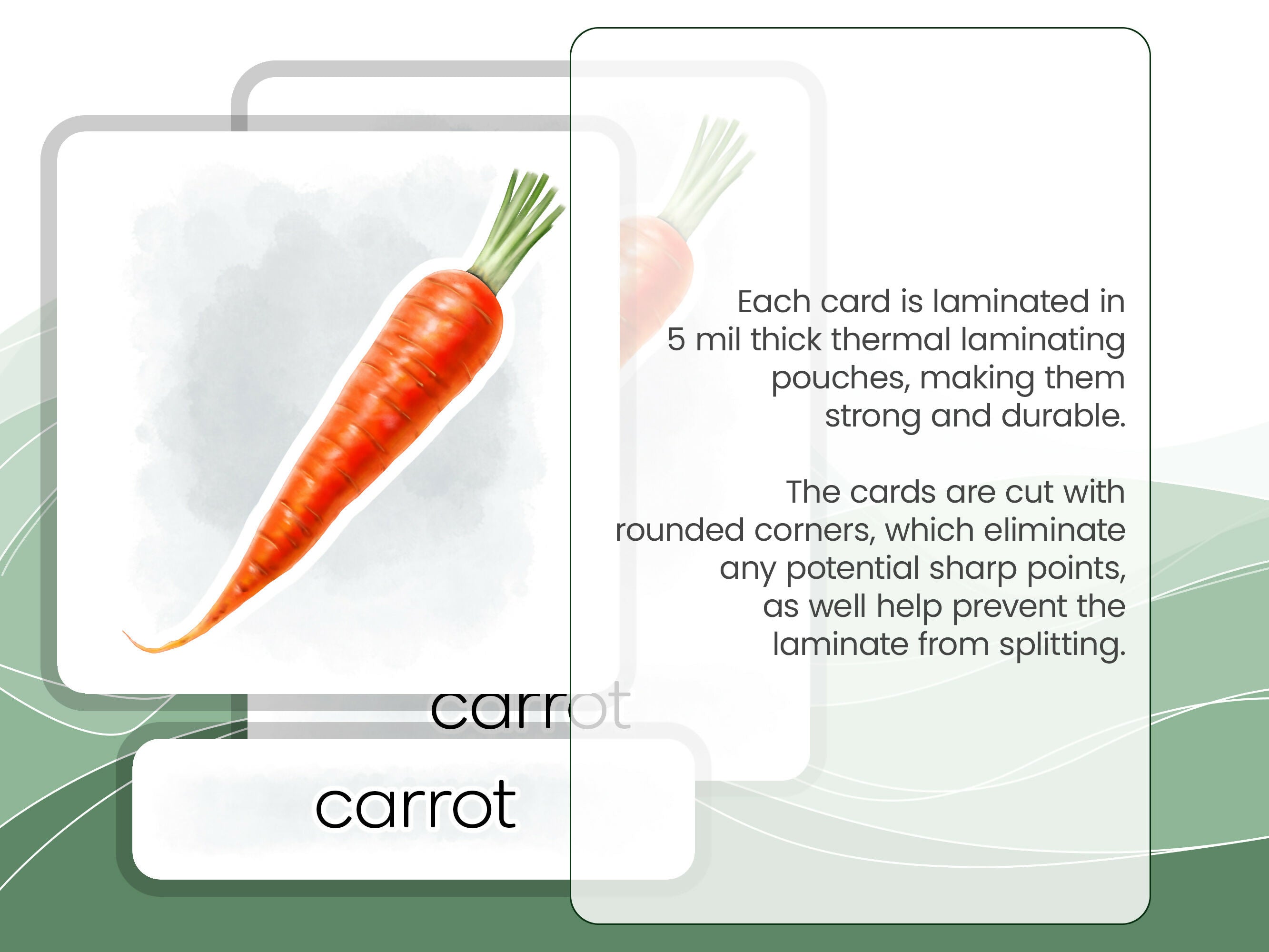 Nomenclature Cards Set - Illustrated Vegetables