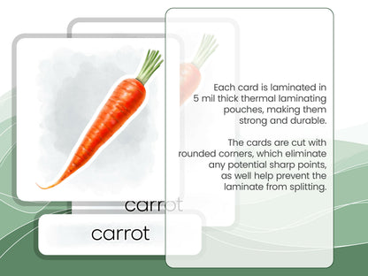 Nomenclature Cards Set - Illustrated Vegetables