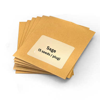 Seedling Starter Kit - Montessori Leaf Shapes