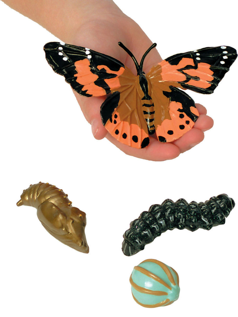 Butterfly Life Cycle Figures (4-Piece Set)