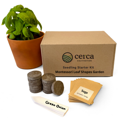 Seedling Starter Kit - Montessori Leaf Shapes