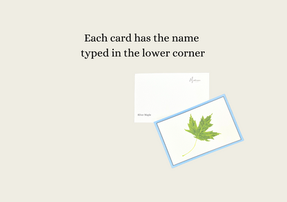Leaves (Hand-drawn) Language Cards