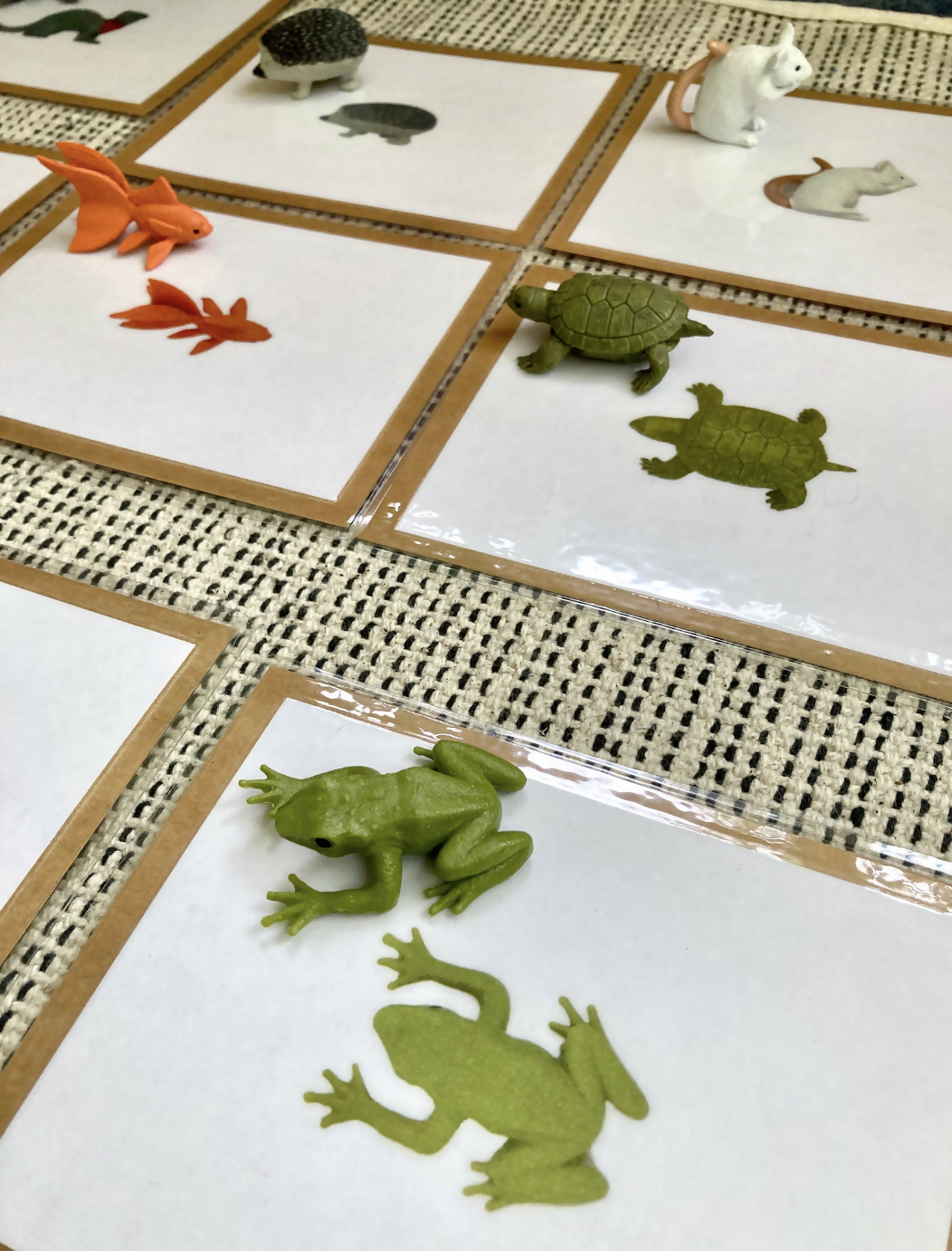 Exact Matching Language Objects and Digital PDF Cards - Pets - Montessori Toddler Activity for Vocabulary development