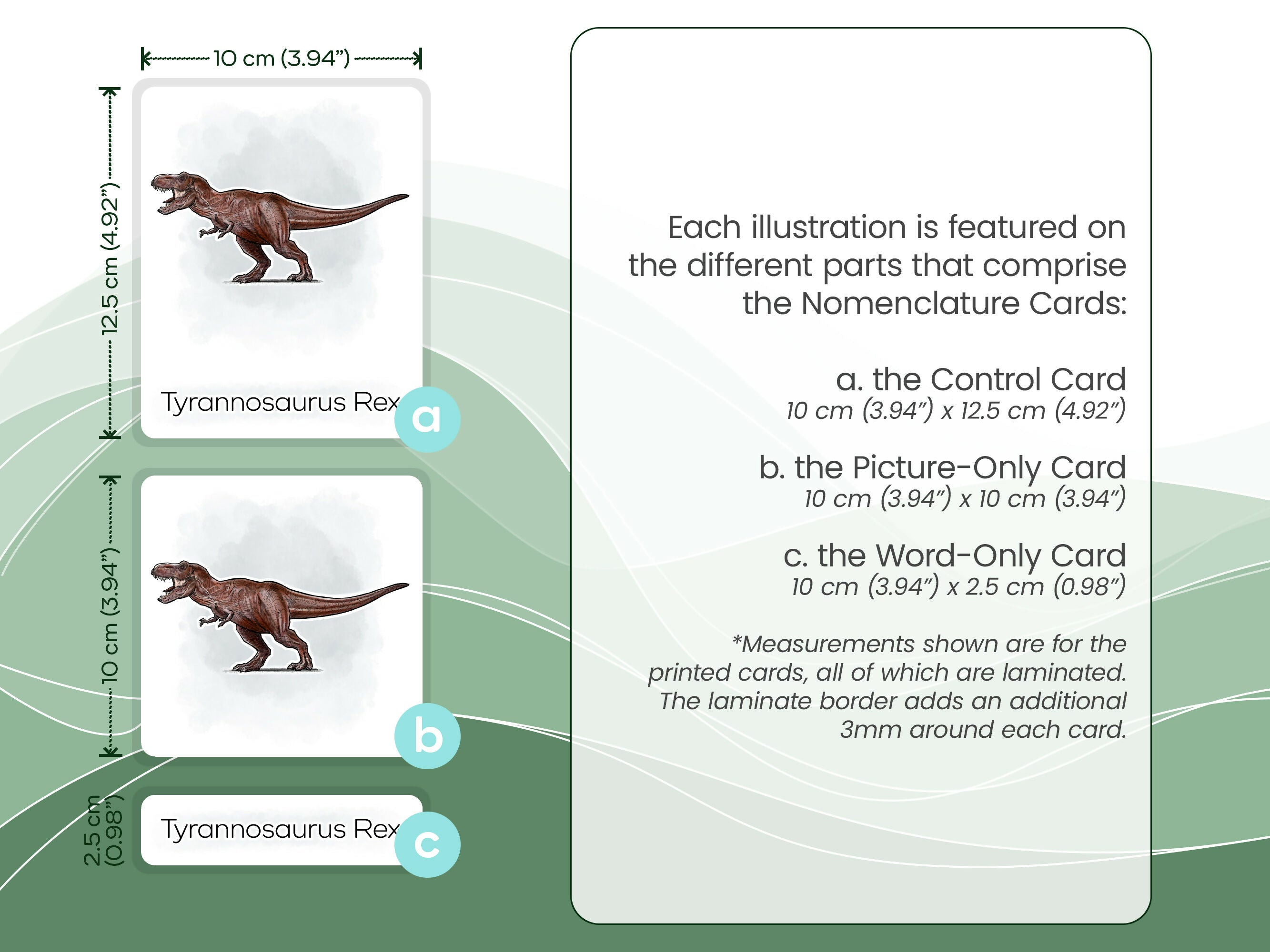 Nomenclature Cards Set - Illustrated Dinosaurs