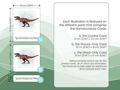 Nomenclature Cards Set - Illustrated Dinosaurs