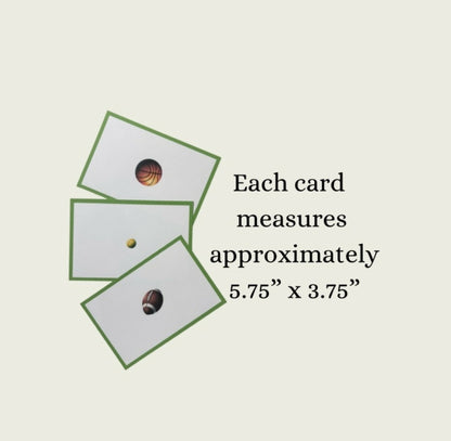 Sports Language Cards