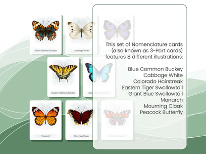 Nomenclature Cards Set - Illustrated Butterflies