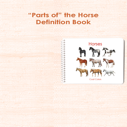 Horses (Coat Colors) Book & Card Set