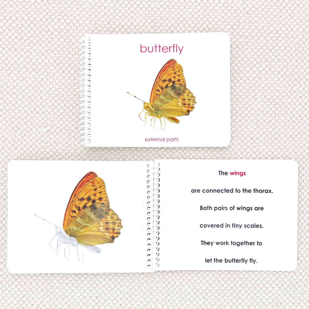 Parts of the Butterfly Book