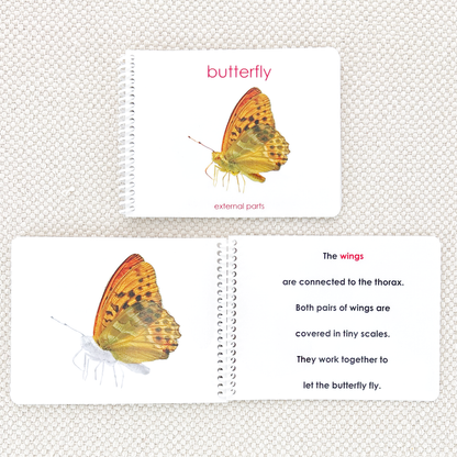 Parts of the Butterfly Book