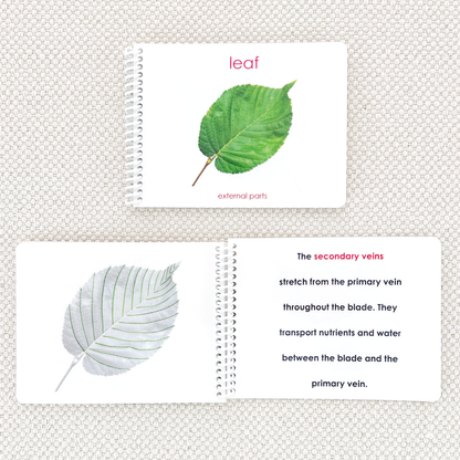 Parts of the Leaf Book