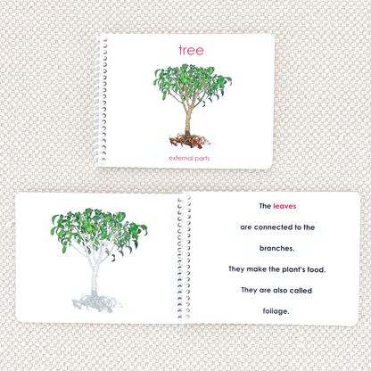 Parts of the Tree Book & Card Set