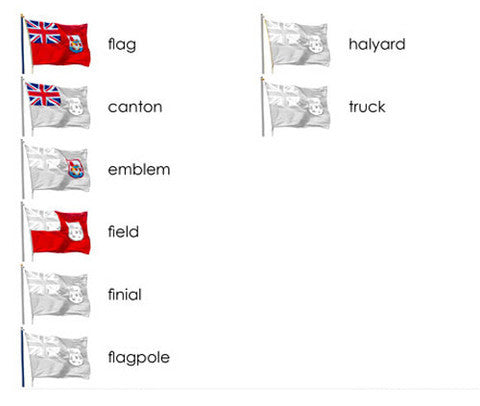 Parts of the Flag 3-Part Reading