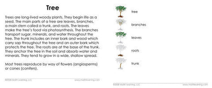 German Parts of the Tree 3-Part Reading