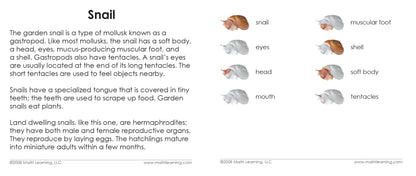Parts of the Snail 3-Part Reading