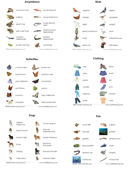 Basic Vocabulary Card Set/26