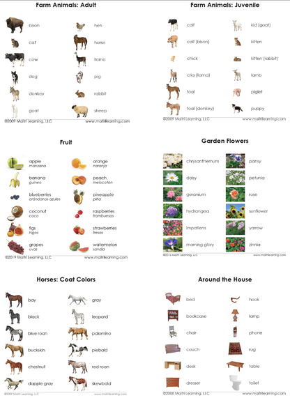 Basic Vocabulary Card Set/26