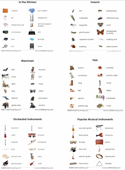Basic Vocabulary Card Set/26