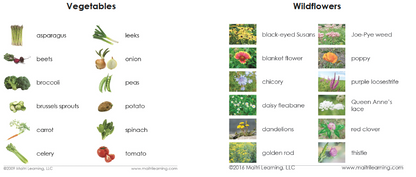 Basic Vocabulary Card Set/26