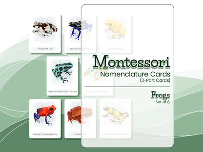 Nomenclature Cards Set - Illustrated Frogs