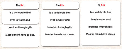 Parts of the Fish Book & Card Set