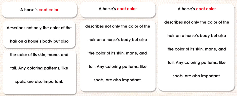 Horses (Coat Colors) Book & Card Set