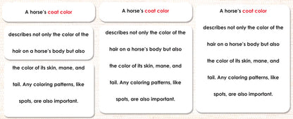 Horses (Coat Colors) Book & Card Set