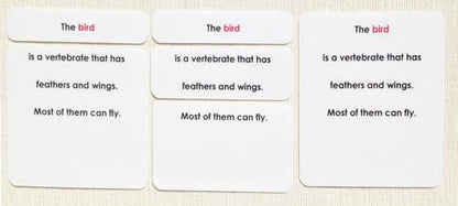 Vertebrates Definition Card Set