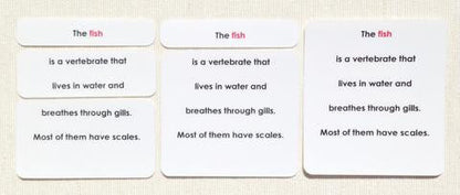 Vertebrates Definition Card Set