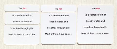Vertebrates Definition Card Set