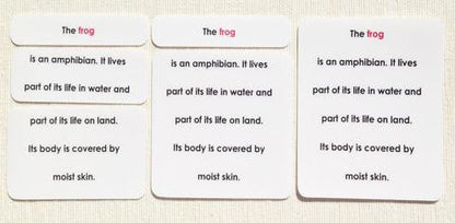 Vertebrates Definition Card Set
