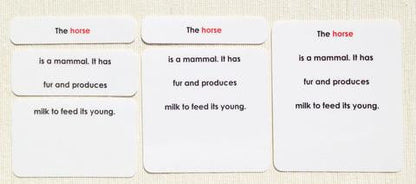 Vertebrates Definition Card Set