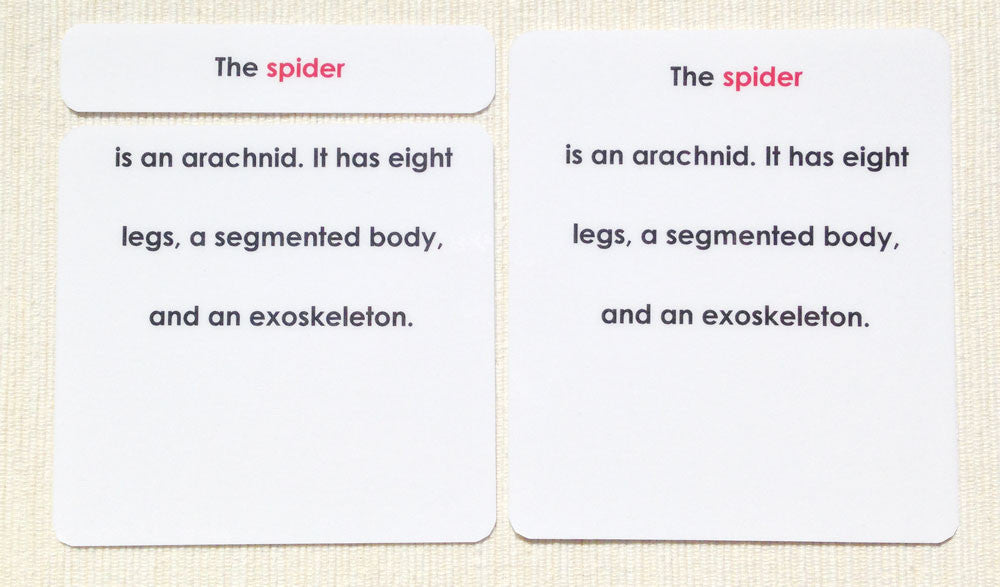 Parts of the Spider Definitions