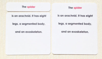 Parts of the Spider Definitions