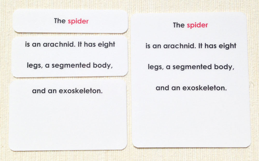 Parts of the Spider Definitions