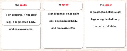 Parts of the Spider Definitions