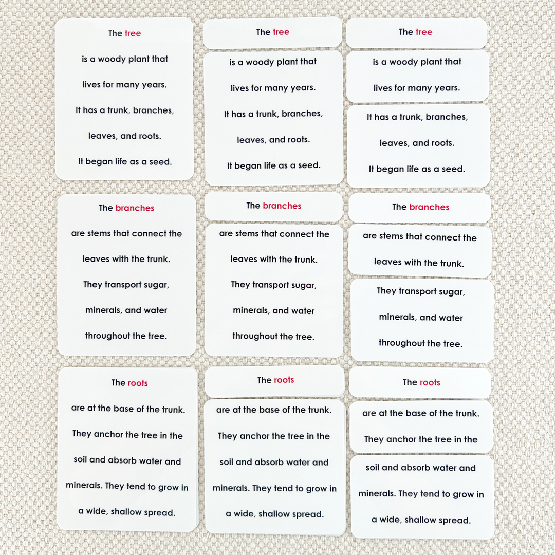 Parts of the Tree Book & Card Set
