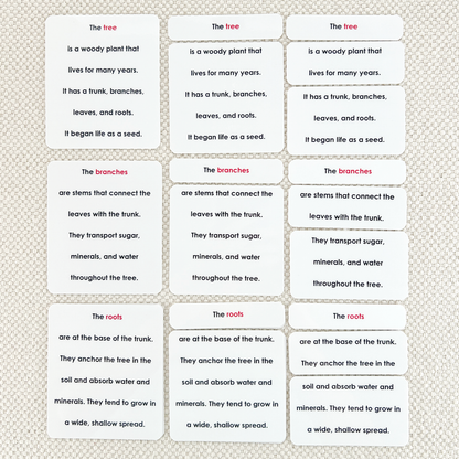 Parts of the Tree Book & Card Set