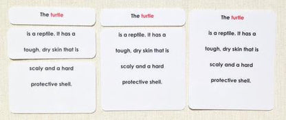 Vertebrates Definition Card Set