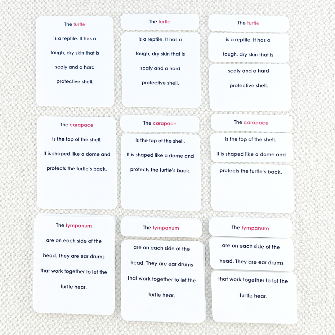 Parts of the Turtle Book & Card Set
