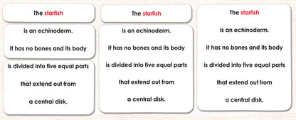 Parts of the Sea Star (Starfish) Book & Card Set - Maitri Learning