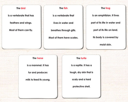 Vertebrates Definition Card Set