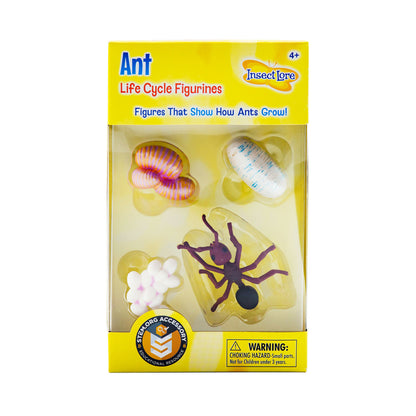 Ant Life Cycle Figures (4-Piece Set)