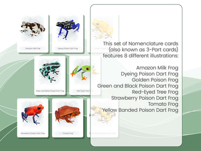 Nomenclature Cards Set - Illustrated Frogs