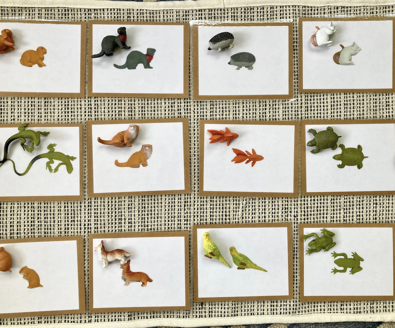 Exact Matching Language Objects and Digital PDF Cards - Pets - Montessori Toddler Activity for Vocabulary development